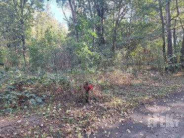 działka na sprzedaż 2255m2 działka Franciszków