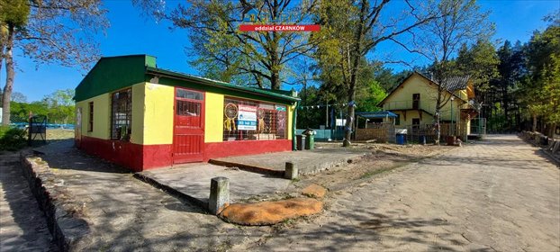 Do sprzedania działka z budynkiem nad jeziorem Sarcze lokal użytkowy Trzcianka