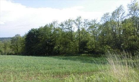 Działka rolna na sprzedaż Brzezinka 3 200m2 Foto 2