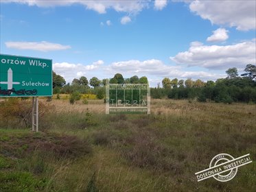 Działka inwestycyjna 27 508 m² w Sulechowie, uzbrojona - polecam! działka Sulechów