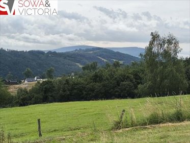Na sprzedaż działka z widokiem na Zamek Grodno i Góry Sowie działka Zagórze Śląskie