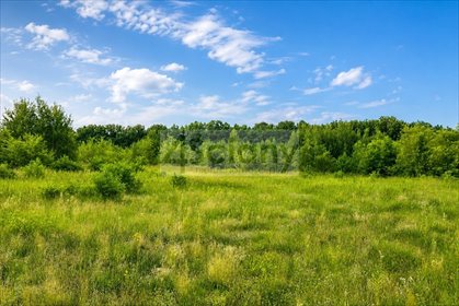 Działki budowlane i rolne 37 271 m² w Runowie - spokojna okolica działka Runów