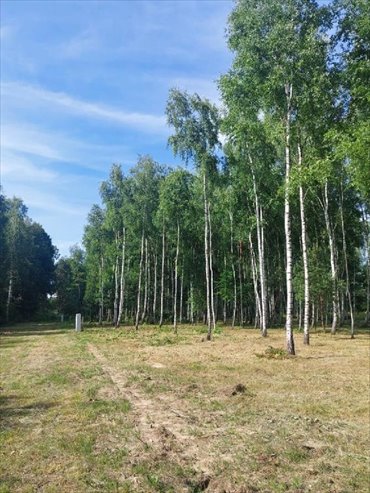 działka na sprzedaż 3820m2 działka Mykanów, Rybna