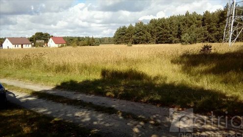 Działka budowlana na sprzedaż Krzypnica 12 800m2 Foto 3