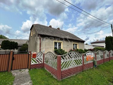 lokal użytkowy na sprzedaż 83m2 lokal użytkowy Pogrzybów