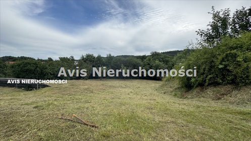 Malownicza działka 2600 m² z prywatnością i dostępem do mediów działka Witoszó Górny
