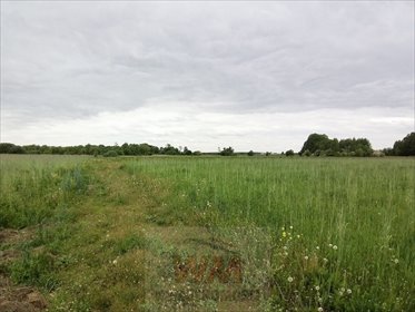Polecam działkę 3,09 ha pod siedlisko, agroturystykę lub konie działka Jasieniec