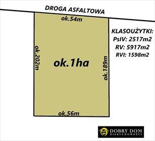 działka na sprzedaż 10032m2 działka Peńskie
