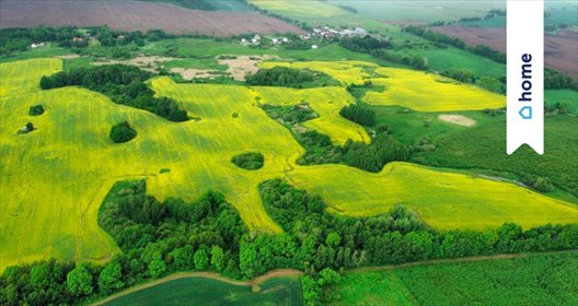 działka na sprzedaż 1500m2 działka Ryn