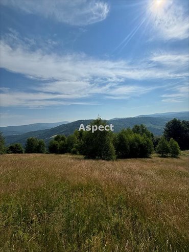 działka na sprzedaż 25399m2 działka Brenna