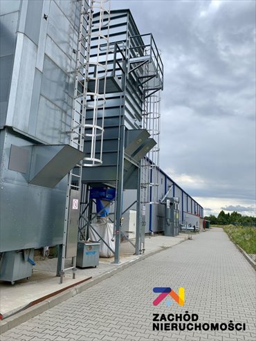 lokal użytkowy na sprzedaż 5945m2 lokal użytkowy Kostrzyn nad Odrą