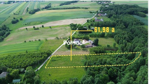Do sprzedania działka rolno-zagrodowa 6200 m² z nasadzeniami działka Kolonia Gorzków