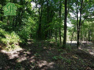Działka inna na sprzedaż Przemyśl, Prałkowce 5 600m2 Foto 7