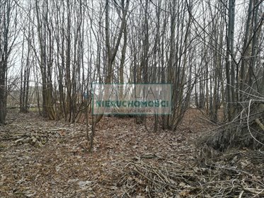 Działka usługowa 5002 m² z wysoką zabudową do 12 m działka Grodzisk Mazowiecki