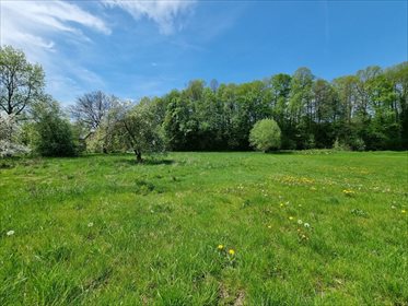 działka na sprzedaż 3939m2 działka Smolnik