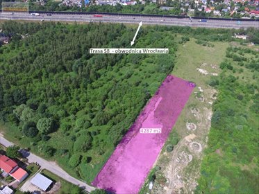 działka na sprzedaż 4287m2 działka Wrocław, Psie Pole, Lipa Piotrowska, Podbiałowa