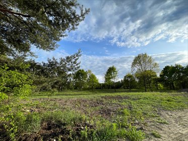 działka na sprzedaż 3001m2 działka Marki, Marki