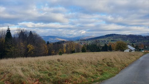 działka na sprzedaż 1080m2 działka Laliki, Laliki