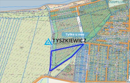 działka na sprzedaż 15200m2 działka Rewa, Bukowy Las