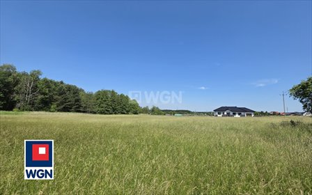 Działka budowlana 1754 m² z warunkami zabudowy Balin działka Balin, Balin, Morgowa