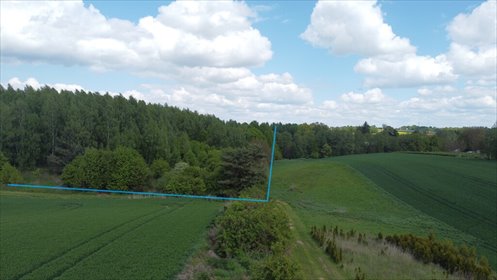 Duża działka 2,15 ha z widokiem, zadrzewiona, Nałęczów działka Chruszczów-Kolonia