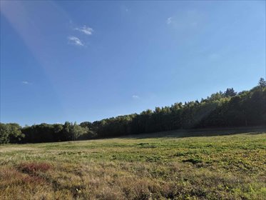 działka na sprzedaż 54058m2 działka Świebodzice