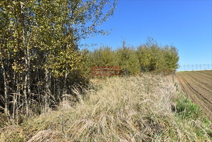 działka na sprzedaż 2200m2 działka Morawica