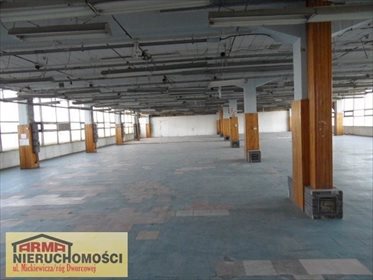 lokal użytkowy na wynajem 600m2 lokal użytkowy Stargard, 11 Listopada