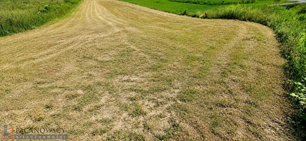 Zapraszam do zakupu działki 6 800 m² w Węgrzcach działka Węgrzce