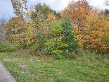 Polecam działkę 1219 m² z MPZP w Brwinowie działka Brwinów