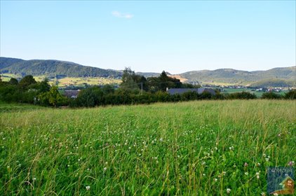 Zapraszam do zakupu działki 1397 m² w Męcinie z mediami działka Męcina