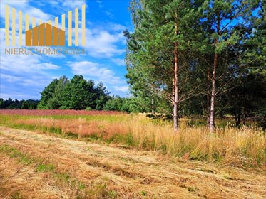działka na sprzedaż 900m2 działka Mrozy