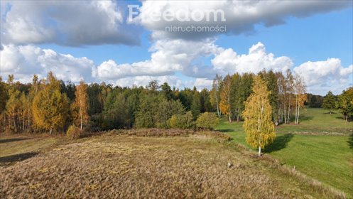 Działka 3000 m² w Starych Budach Radziejowskich zapraszam działka Stare Budy Radziejowskie, Wierzby