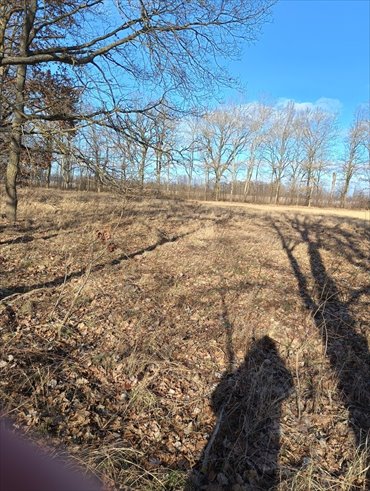 działka na sprzedaż 3463m2 działka Rzędziny