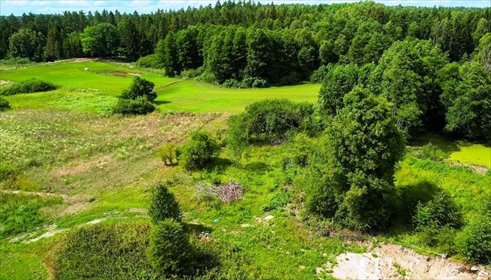 działka na sprzedaż 3004m2 działka Świętajno