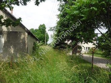 Działka siedliskowa na sprzedaż Jędrzejów Nowy 3 500m2 Foto 4