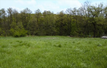 działka na sprzedaż 1672m2 działka Garlica Duchowna