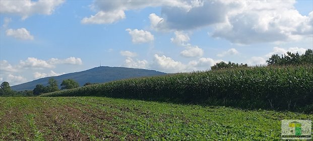 działka na sprzedaż 7000m2 działka Zebrzydów