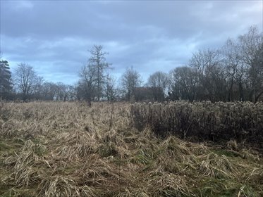 działka na sprzedaż 12089m2 działka Rogów Opolski