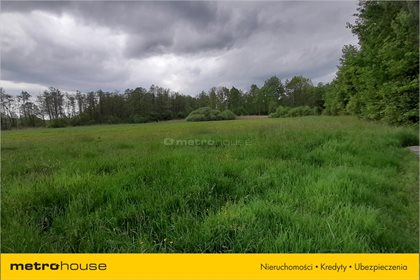 Działka rolna na sprzedaż Wymysłów, Wolanów 11 000m2 Foto 3