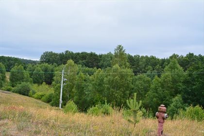 działka na sprzedaż 3015m2 działka Koleczkowo, Hippiczna