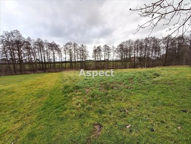 działka na sprzedaż 1100m2 działka Jarząbkowice