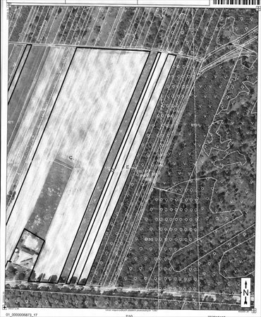 działka na sprzedaż 60500m2 działka Ożarów, Szymanówka