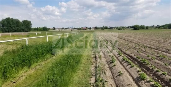 Działka 950 m² z widokiem na Warszawę - Falenty Nowe działka Falenty Nowe