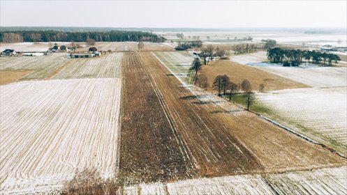 Działka budowlana na sprzedaż Bałdrzychów 1 380m2 Foto 7