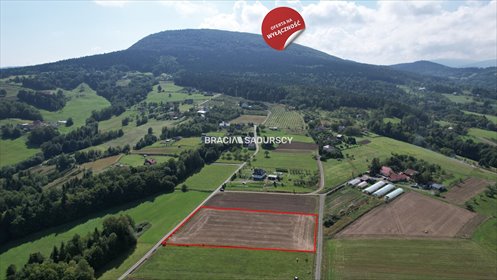 działka na sprzedaż 6023m2 działka Szyk