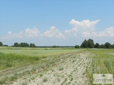 Działka rolna na sprzedaż Gózd Lipiński 11 400m2 Foto 1