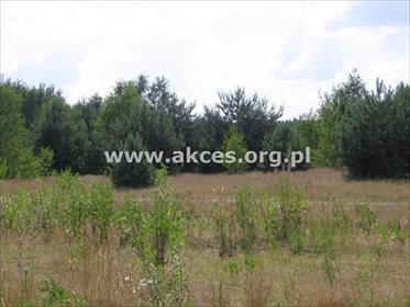 działka na sprzedaż 13800m2 działka Kazuń Polski