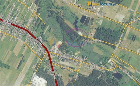 Działka leśna 3140 m² w Brudzowie – inwestycja lub rekreacja działka Brudzów, Wąska
