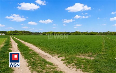 Działka usługowa 5200 m² z dużym potencjałem inwestycyjnym działka Ostrów Wielkopolski, Wtórek